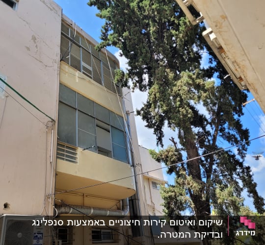 עץ גבוה ליד בניין עם חלונות גדולים